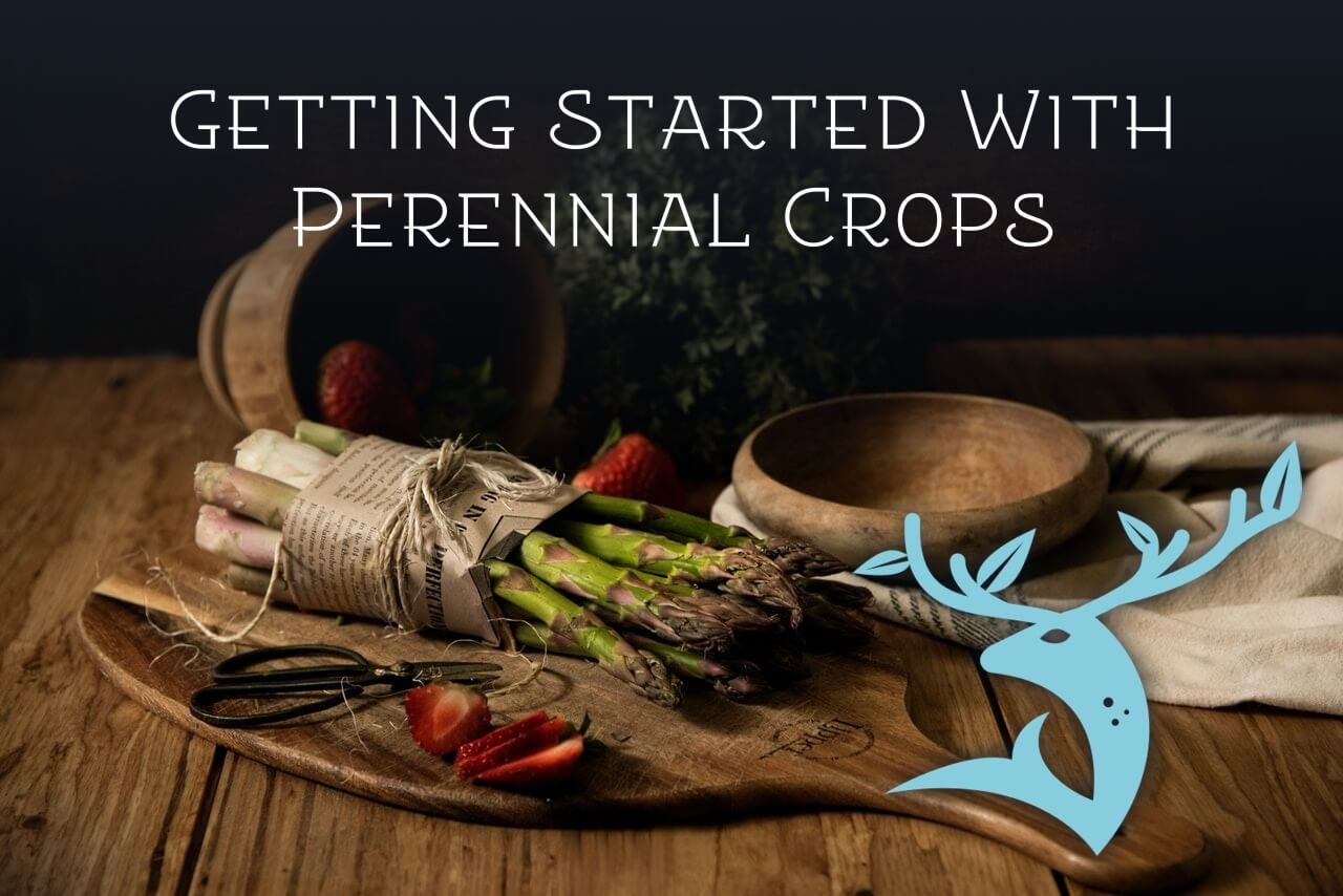 Introduction to Temperate-Climate Perennial Crops