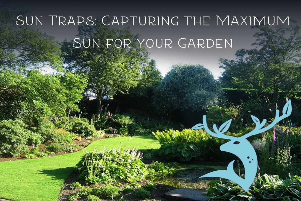 Gardening With Sun Traps and Sun Scoops