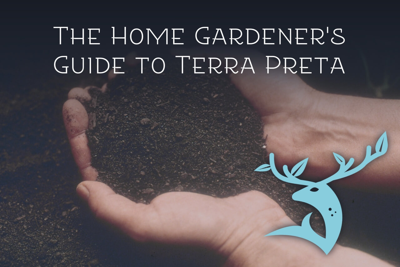 Terra Preta: How Charred Wood Created Millennia of Soil Fertility