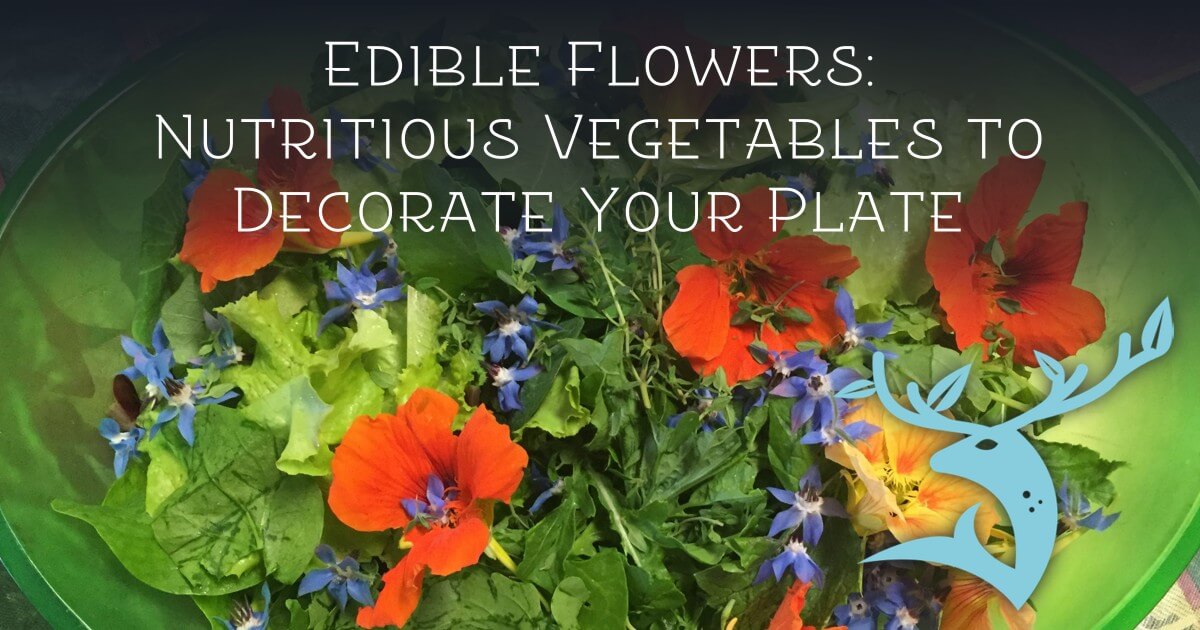 Edible Flowers: Are They Vegetables?