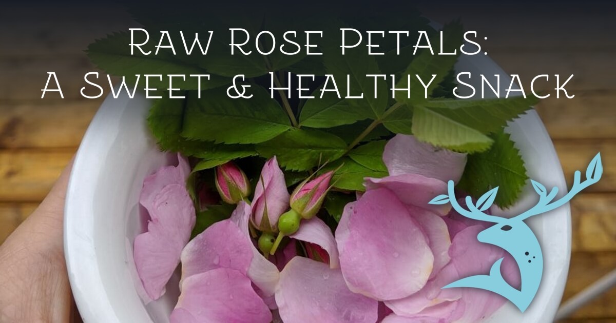 Can You Eat Rose Petals Raw?