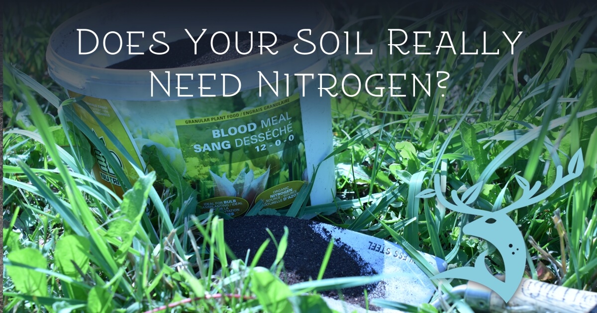 When Should I Add Nitrogen to My Garden? – Earth Undaunted