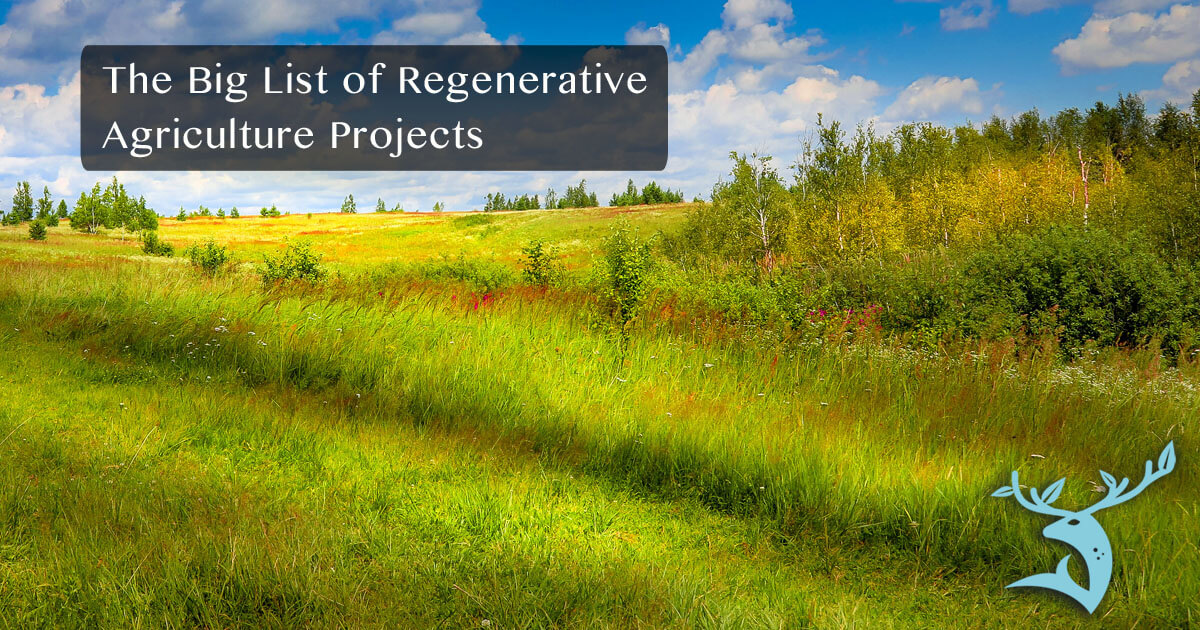 Inspiring Regenerative Agriculture Projects Around the World