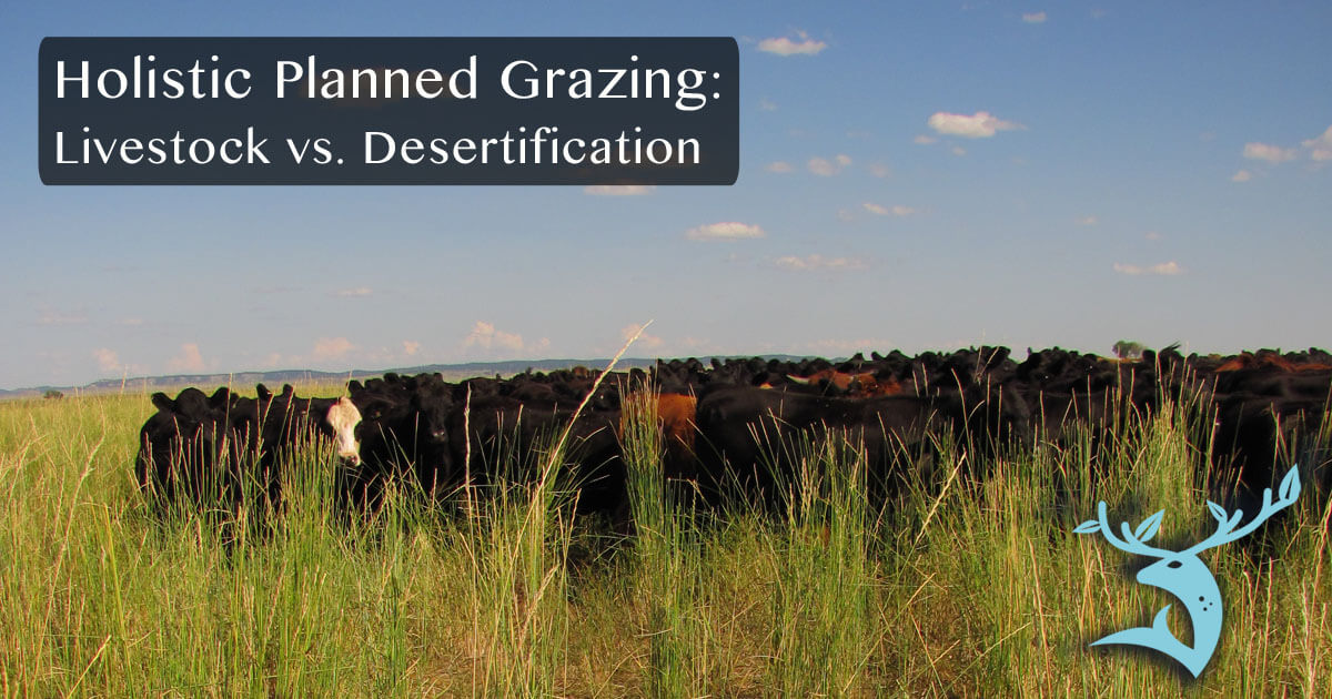 Is Holistic Planned Grazing Relevant to You?