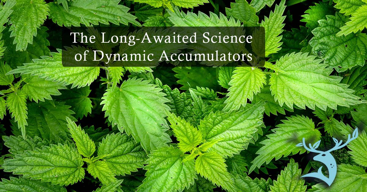 The title "The Long-Awaited Science of Dynamic Accumulators" over a background of common nettle plants