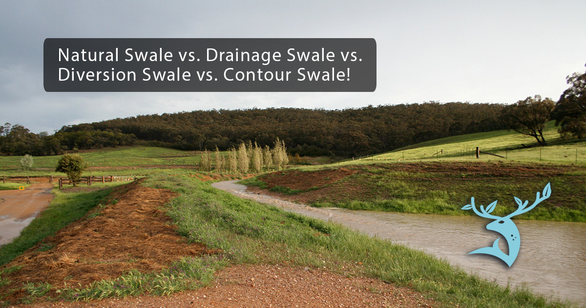 An image of a large swale filled with water is superimposed with the Earth Undaunted logo and the text "Natural Swale vs. Drainage Swale vs. Diversion Swale vs. Contour Swale