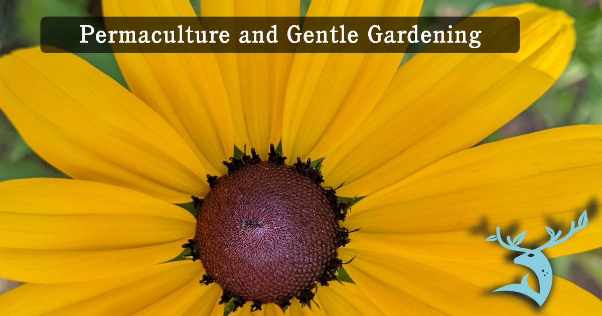 The words "Permaculture and Gentle Gardening" appear on a close-up image of a gloriosa daisy